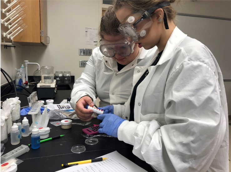 Chemistry Students working on an experiment.